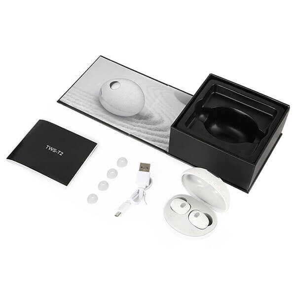 T2 Mini Wireless Earphones
