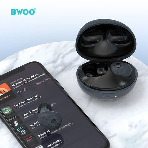 T2 Mini Wireless Earphones